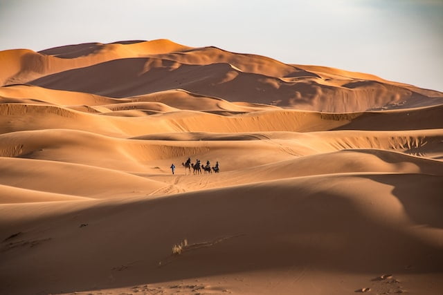 Sahara Erg Cheggaga Visiter le désert Maroc